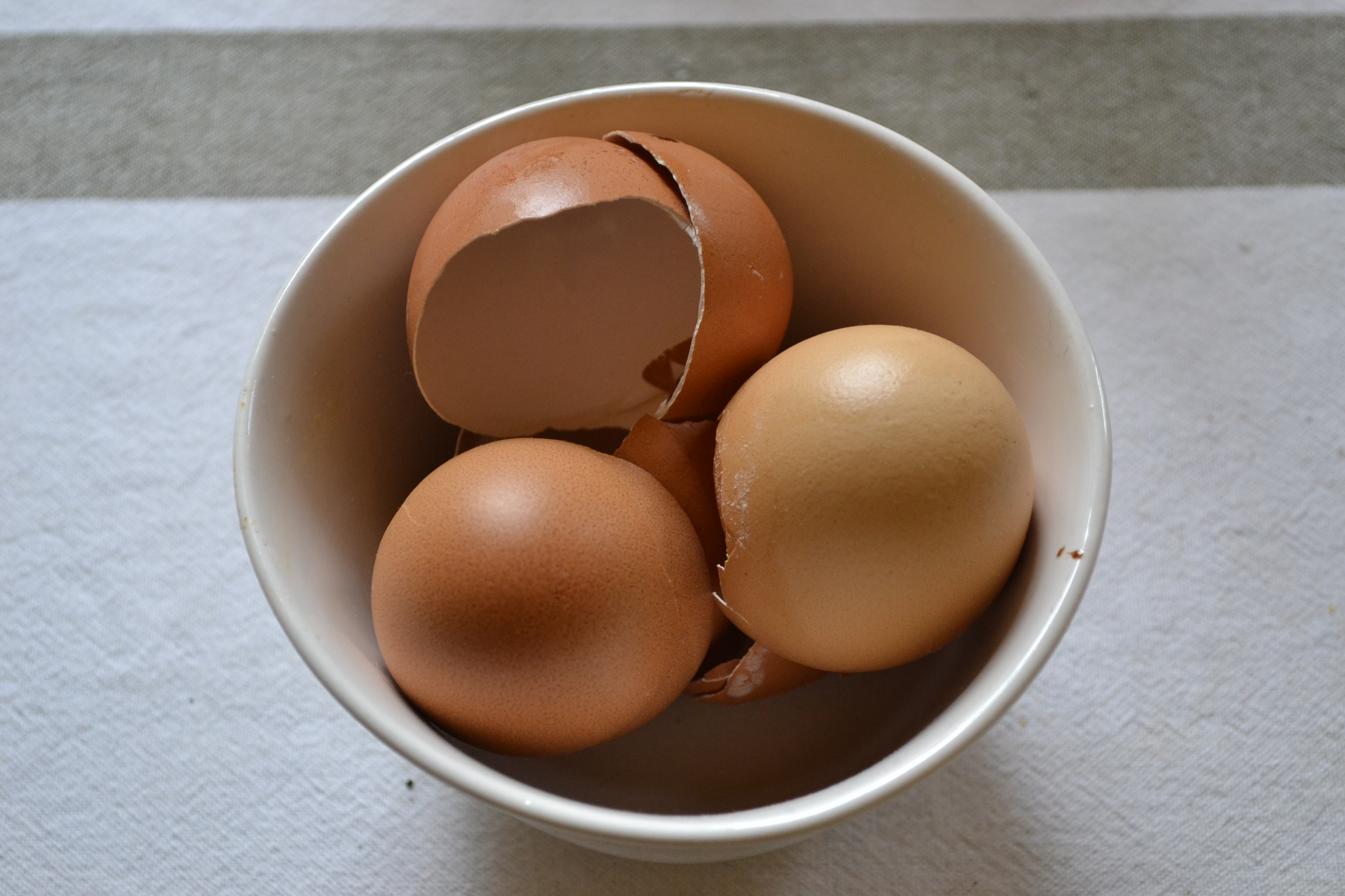 Eierschalen im Garten – Mohoga Werkstatt